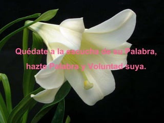 Quédate a la escucha de su Palabra,  hazte Palabra y Voluntad suya. 