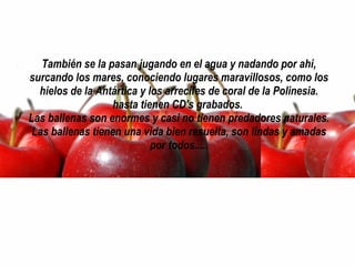 También se la pasan jugando en el agua y nadando por ahí, surcando los mares, conociendo lugares maravillosos, como los hielos de la Antártica y los arrecifes de coral de la Polinesia. hasta tienen CD's grabados.  Las ballenas son enormes y casi no tienen predadores naturales. Las ballenas tienen una vida bien resuelta, son lindas y amadas por todos..... 