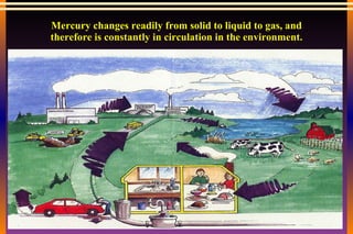 Mercury changes readily from solid to liquid to gas, and therefore is constantly in circulation in the environment. 