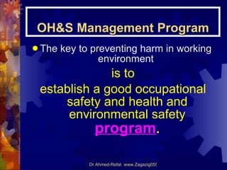 Ohs Programmes Risk Management Process in OH&S | PPT