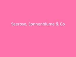 Seerose, Sonnenblume & Co 