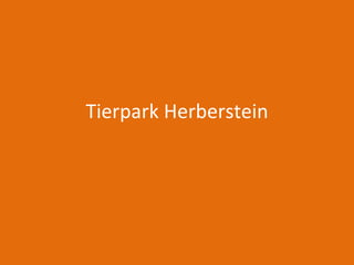Tierpark Herberstein 