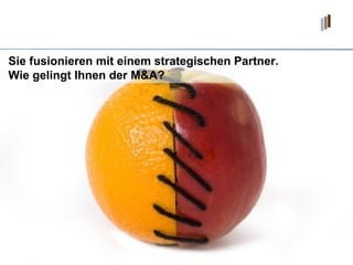 Sie fusionieren mit einem strategischen Partner. Wie gelingt Ihnen der M&A? 