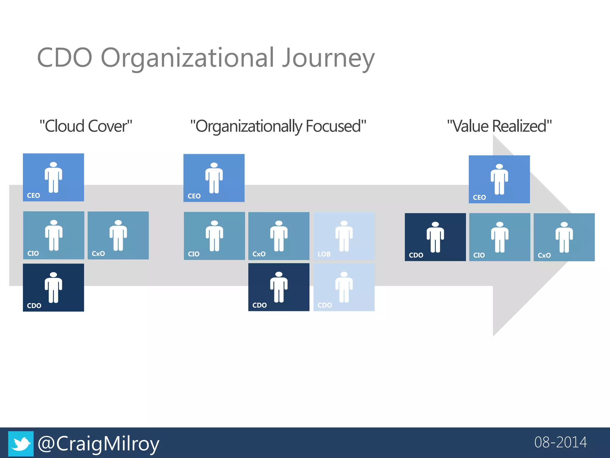 The Chief Data Officer and the Organizational Journey | PDF