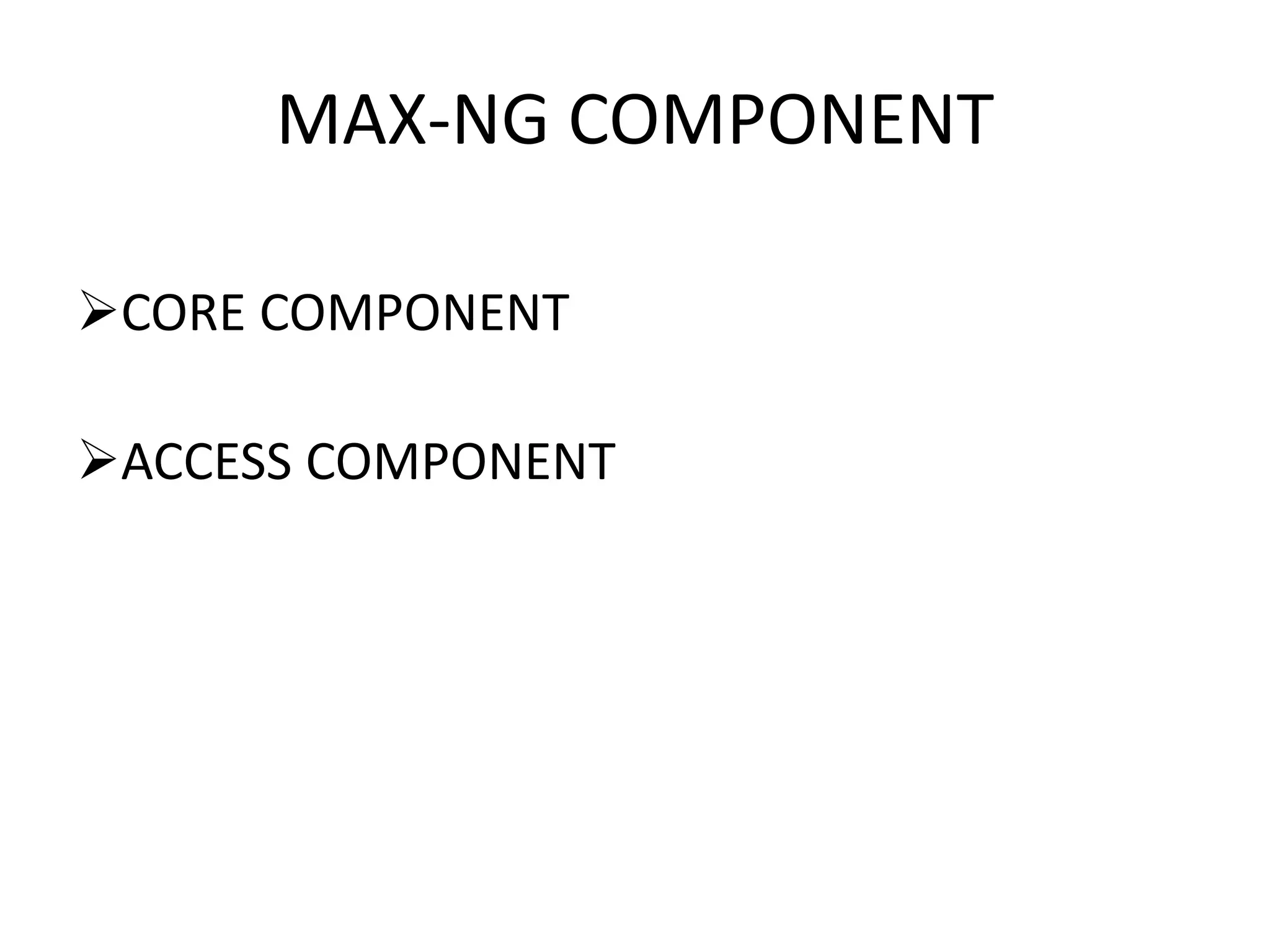 MAX-NG COMPONENT
CORE COMPONENT
ACCESS COMPONENT
 