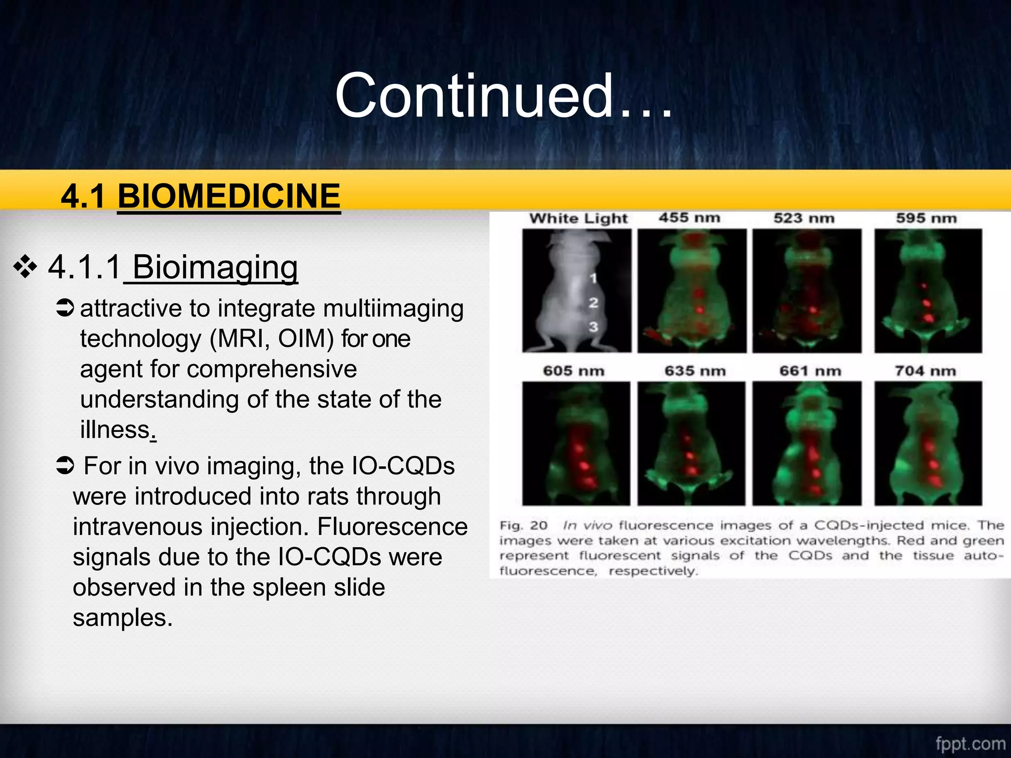 Continued…
4.1 BIOMEDICINE
 4.1.1 Bioimaging
attractive to integrate multiimaging
technology (MRI, OIM) for one
agent for comprehensive
understanding of the state of the
illness.
 For in vivo imaging, the IO-CQDs
were introduced into rats through
intravenous injection. Fluorescence
signals due to the IO-CQDs were
observed in the spleen slide
samples.
 