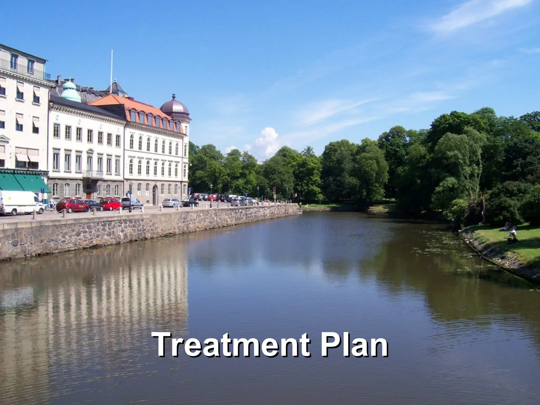 Treatment Plan
Treatment Plan
 