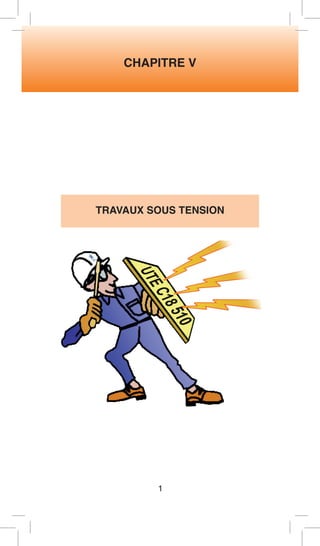 CHAPITRE V 
TRAVAUX SOUS TENSION 
1 
 