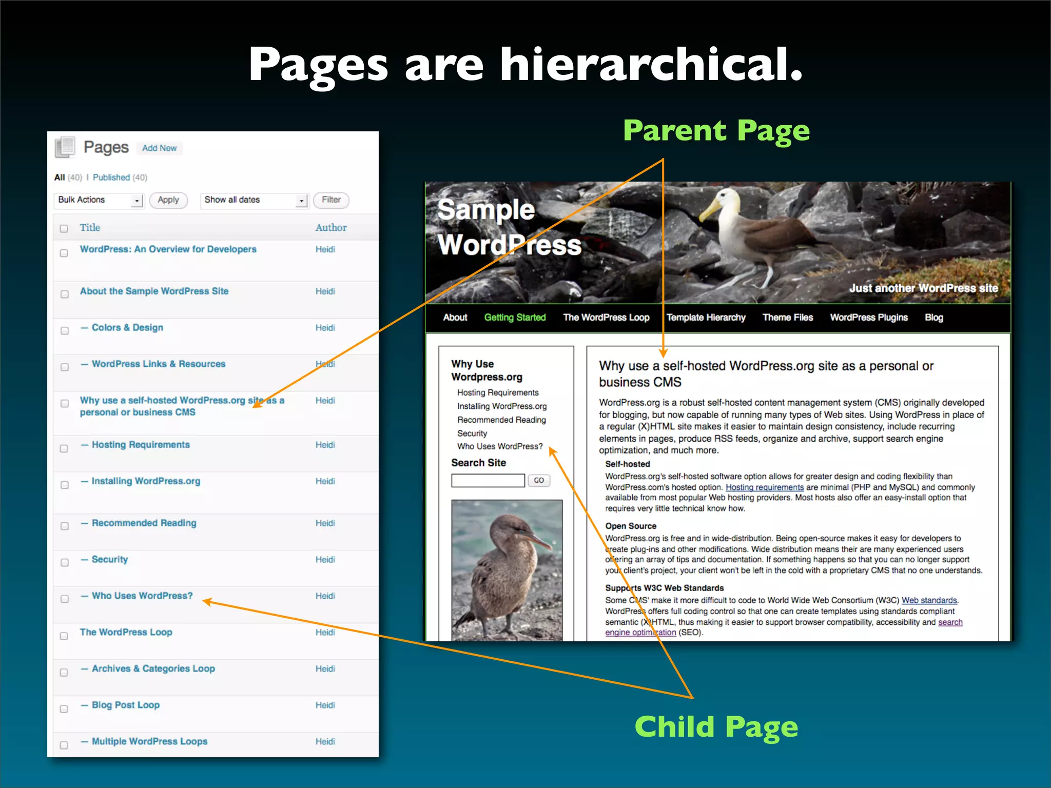 Pages are hierarchical.
               Parent Page




                Child Page
 
