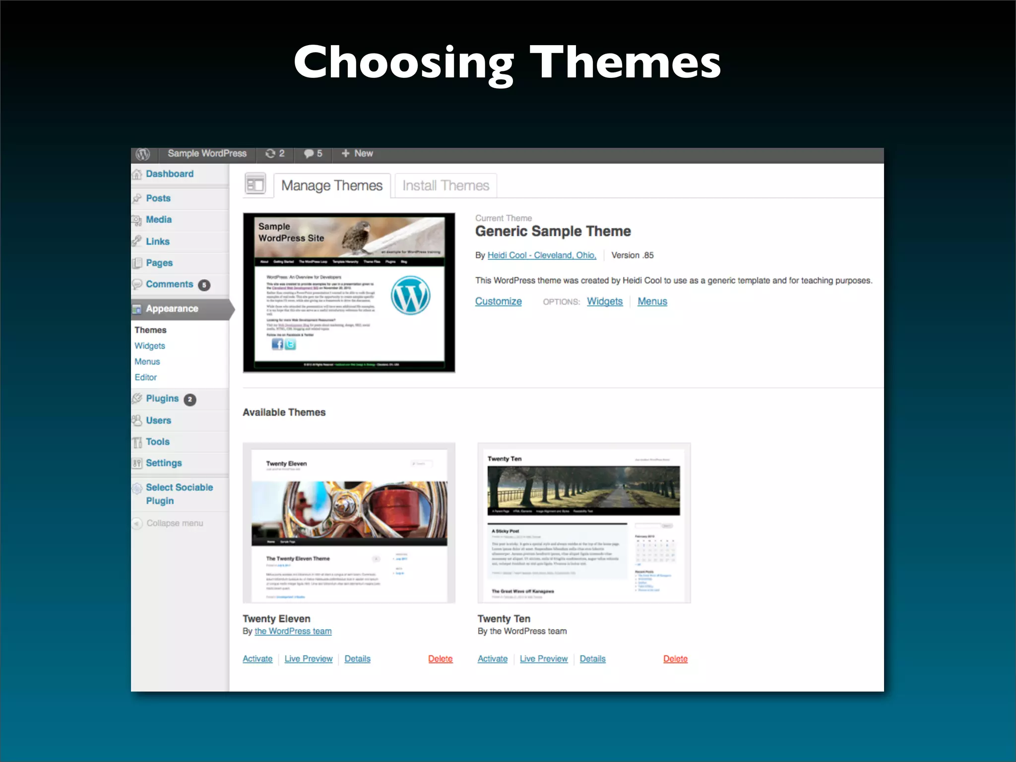 Choosing Themes
 
