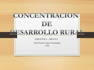 SARAVENA - ARAUCA
Ned Gisela López Fernández
1101