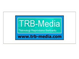 TRB-Media
