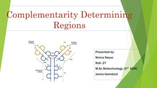 Complementarity Determining
Regions
Presented by:
Nimra Neyaz
Roll- 27
M.Sc Biotechnology (3rd SEM)
Jamia Hamdard
 
