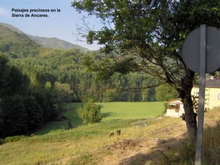 Paisajes preciosos en la Sierra de Ancares. 
