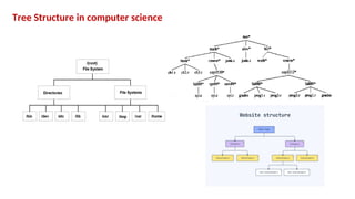 Tree Structure in computer science
 