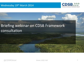 @CDSBGlobal www.cdsb.net 1
Brieﬁng	
  webinar	
  on	
  CDSB	
  Framework	
  
consulta8on	
  
Wednesday	
  19th	
  March	
  2014	
  
 