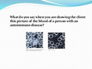What do you say when you are showing the client
this picture of the blood of a person with an
autoimmune disease?
 