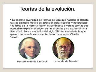 Teorías de la evolución. * La enorme diversidad de formas de vida que habitan el planeta ha sido siempre motivo de atracción para filósofos y naturalistas. A lo largo de la historia fueron elaborándose diversas teorías que intentaban explicar el origen de las especies y su extraordinaria diversidad. Sólo a mediados del siglo XIX fue enunciada la que aparece como más convincente: la formulada por Charles Darwin. La teoría de Darwin Pensamiento de Lamarck 