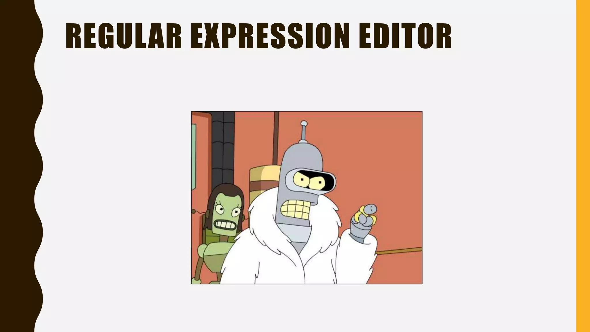 REGULAR EXPRESSION EDITOR
 