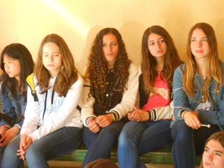 Cdsíntesi planoles2014