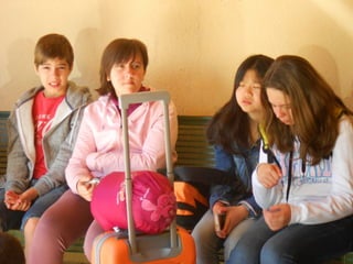 Cdsíntesi planoles2014