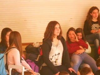 Cdsíntesi planoles2014