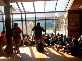 Cdsíntesi planoles2014