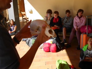 Cdsíntesi planoles2014