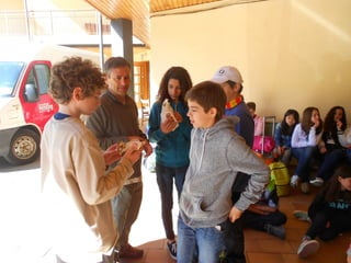 Cdsíntesi planoles2014