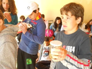 Cdsíntesi planoles2014