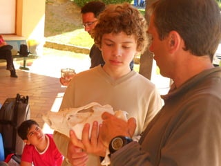 Cdsíntesi planoles2014