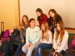 Cdsíntesi planoles2014