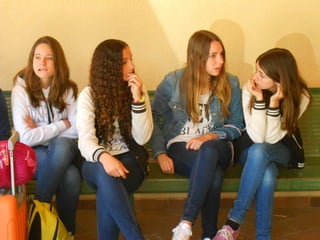 Cdsíntesi planoles2014