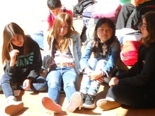 Cdsíntesi planoles2014