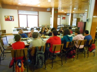 Cdsíntesi planoles2014