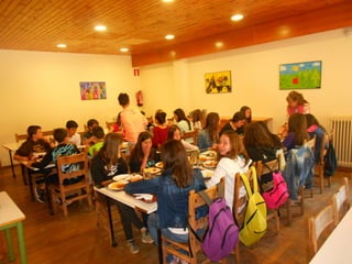 Cdsíntesi planoles2014