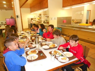 Cdsíntesi planoles2014