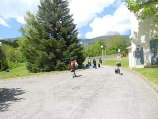 Cdsíntesi planoles2014