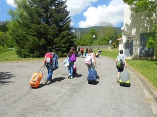 Cdsíntesi planoles2014