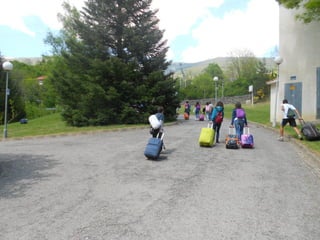 Cdsíntesi planoles2014