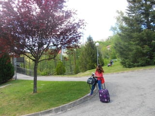 Cdsíntesi planoles2014