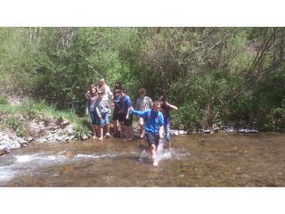 Cdsíntesi planoles2014