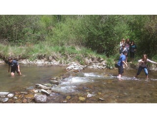 Cdsíntesi planoles2014