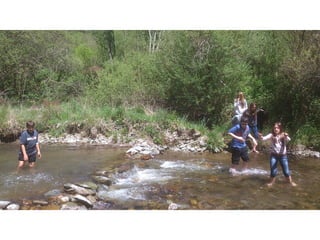 Cdsíntesi planoles2014