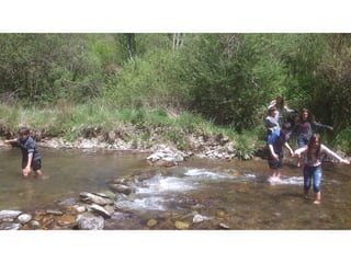 Cdsíntesi planoles2014