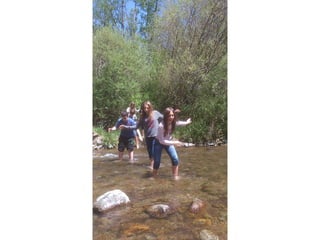 Cdsíntesi planoles2014