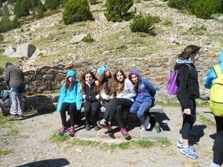 Cdsíntesi planoles2014