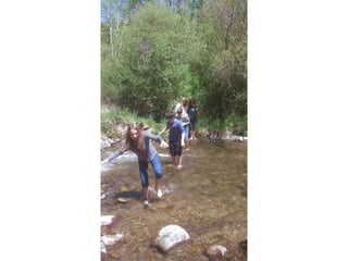 Cdsíntesi planoles2014