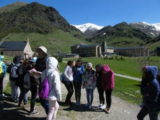 Cdsíntesi planoles2014