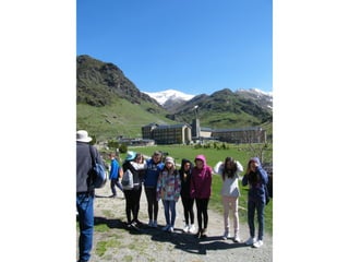 Cdsíntesi planoles2014